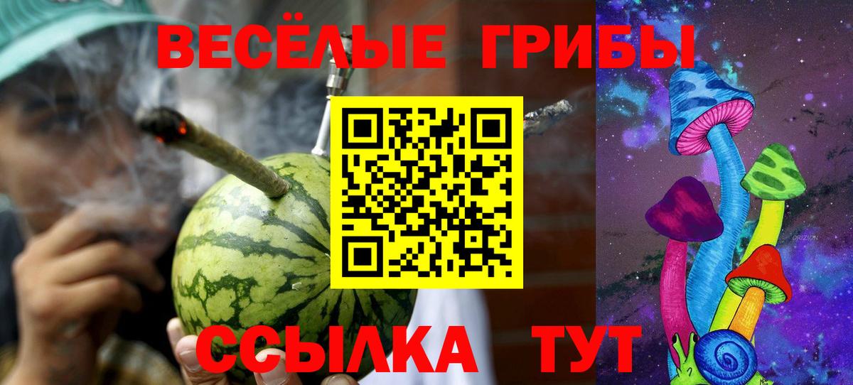 Галлюциногенные грибы MAGIC MUSHROOMS Елец
